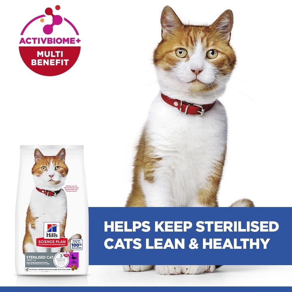 Feline Sterilized Cat Duck
