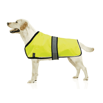 Manteau réfléchissant avec LED