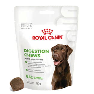 Digestion Chews Adult Supplements
