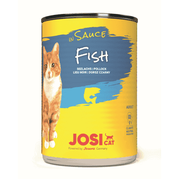JosiCat Fish in Sauce