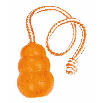 KONG Aqua orange
