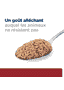 Feline i/d Digestive Care - Boîte