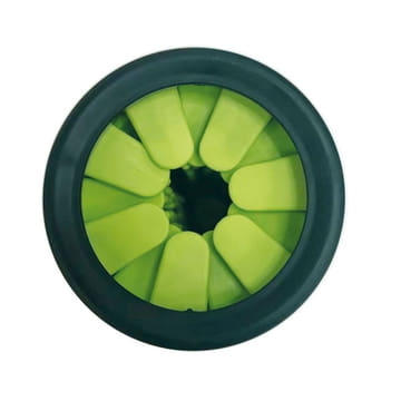 Pfotenschrubber