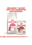 Protein Exigent