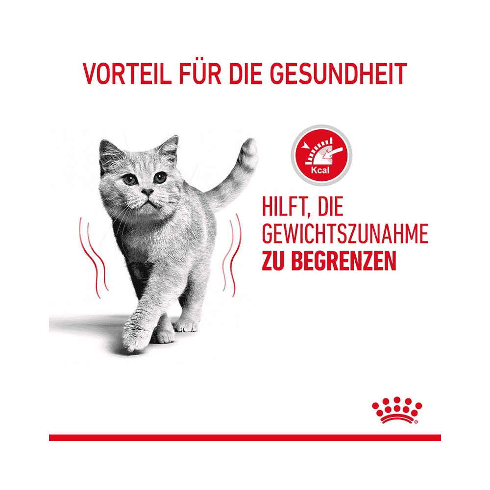 Light Weight Care Jelly - Frischebeutel