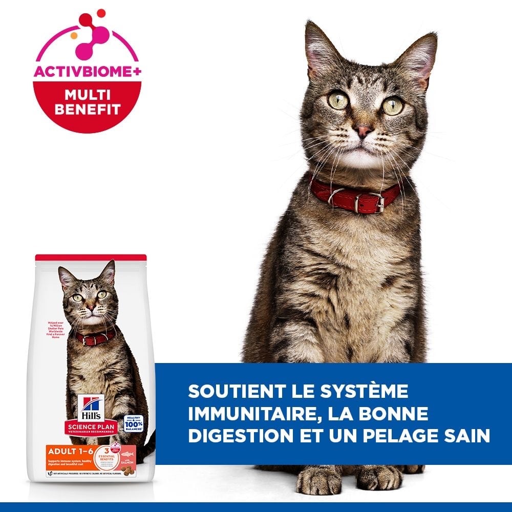 Feline Adult Tuna / Feline Adult Salmon