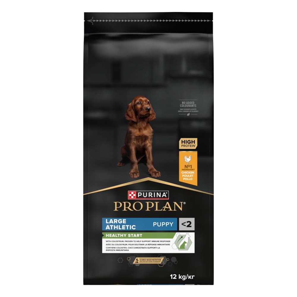 LARGE ATHLETIC PUPPY Healty Start