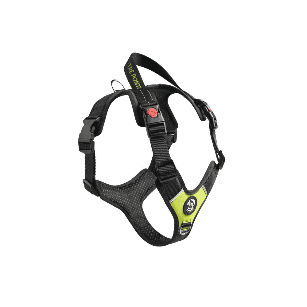 Geschirr Harmonia Lime