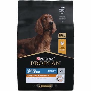 LARGE ATHLETIC ADULT Everyday Nutrition