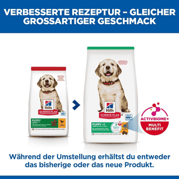 Puppy Large Breed