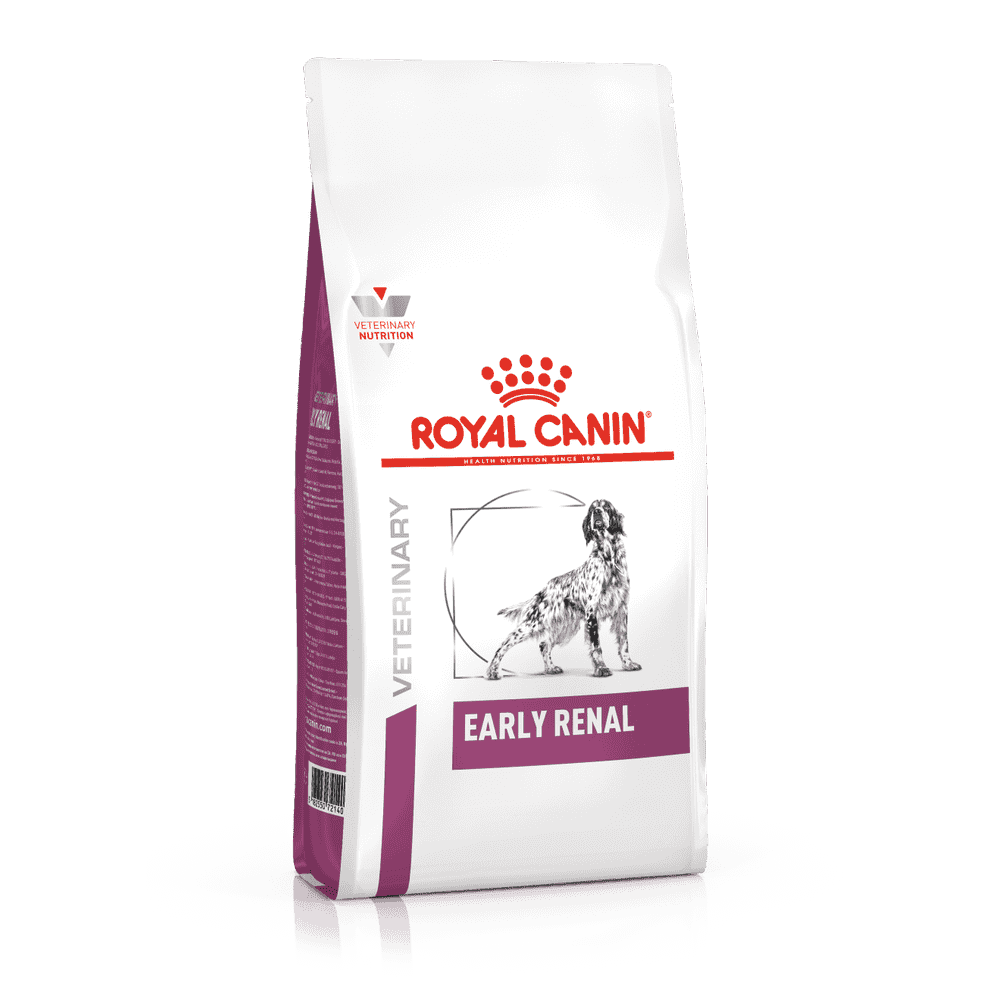 Early Renal Dog