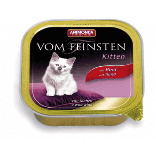 Vom Feinsten Kitten