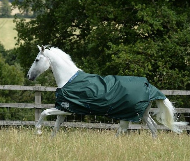 Turnout rug Green-Line Turnout 100g - green