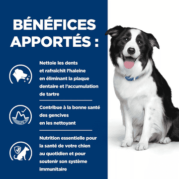 Canine t/d Detal Care
