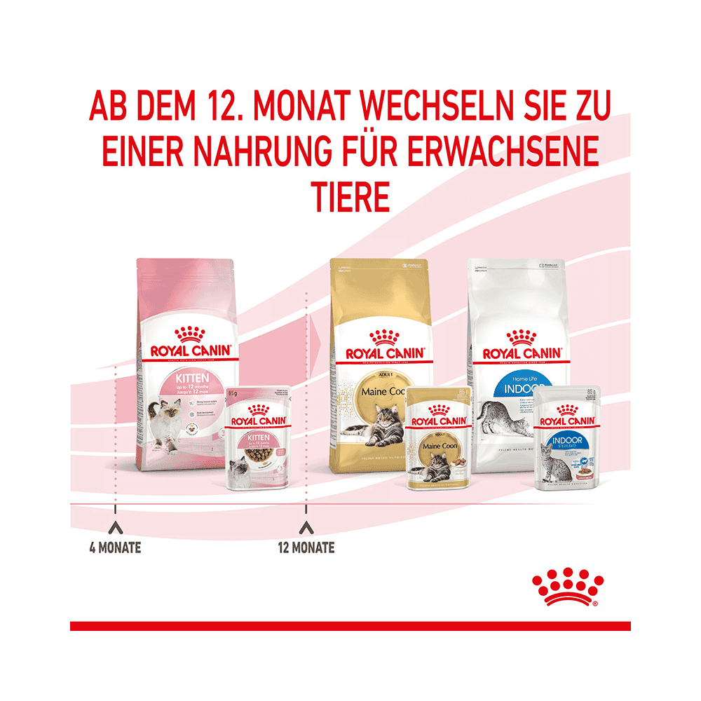 Kitten in  Sauce - Frischebeutel