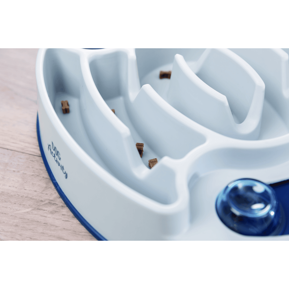 Dog Activity Slide & Feed