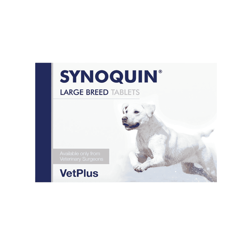 Synoquin