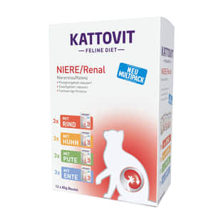 Renal Pouches