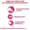 Aroma Exigent