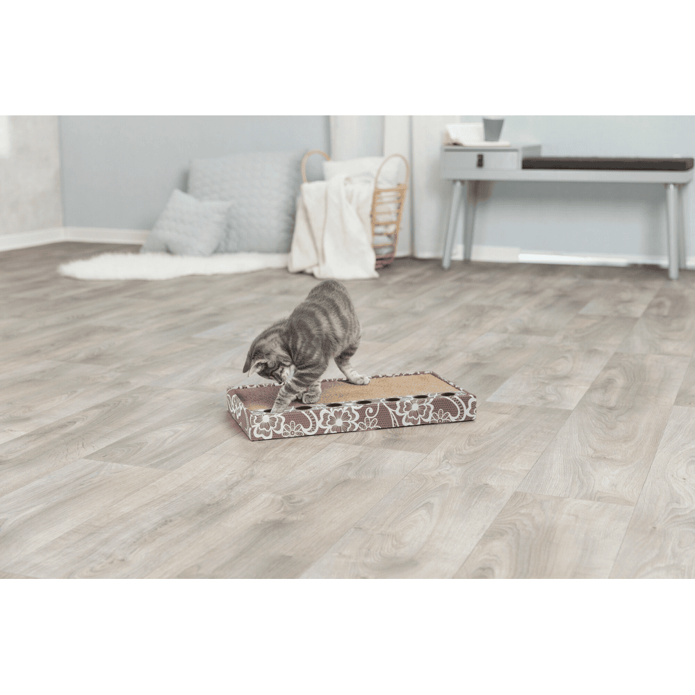 Kratzpappe mit Spielzeug & Katzenminze