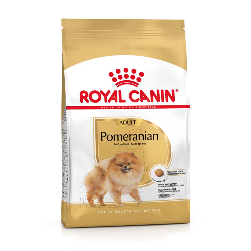 Pomeranian