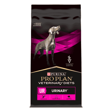 CANINE UR Urinary