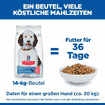 Canine Hypoallergenic Large Breed Salmon