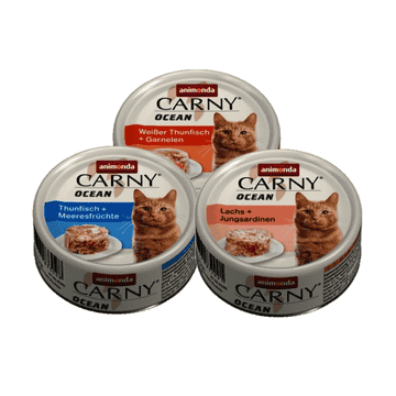 Carny Ocean Adult Cat