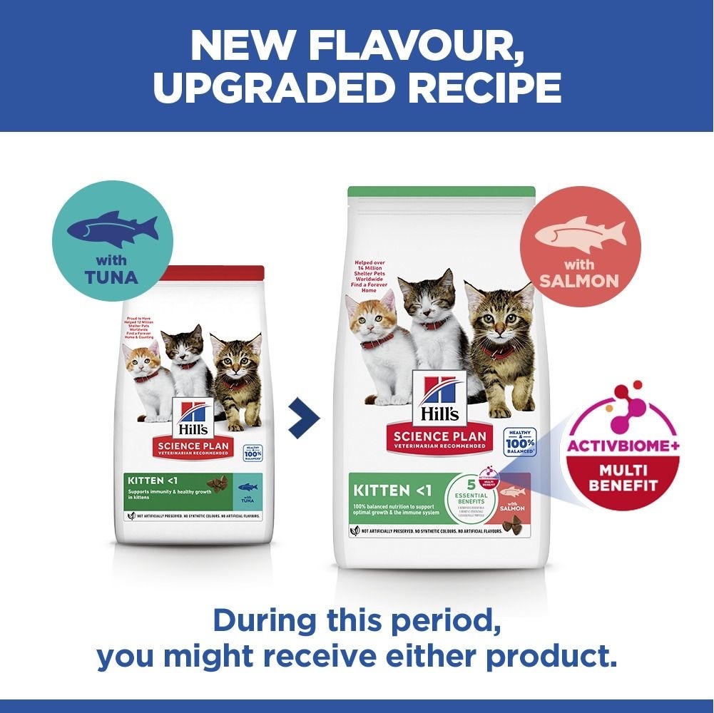 Kitten Tuna (new: Salmon!)