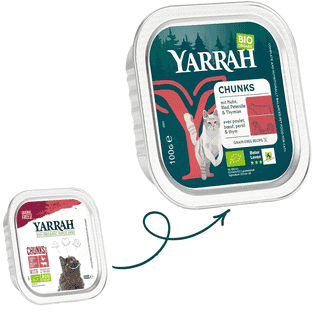 Bio Chunks mit Huhn und Rind für Katzen - Schale