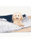 Hundedecke Chill Kuzzi blau