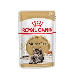 Maine Coon  in Sauce
