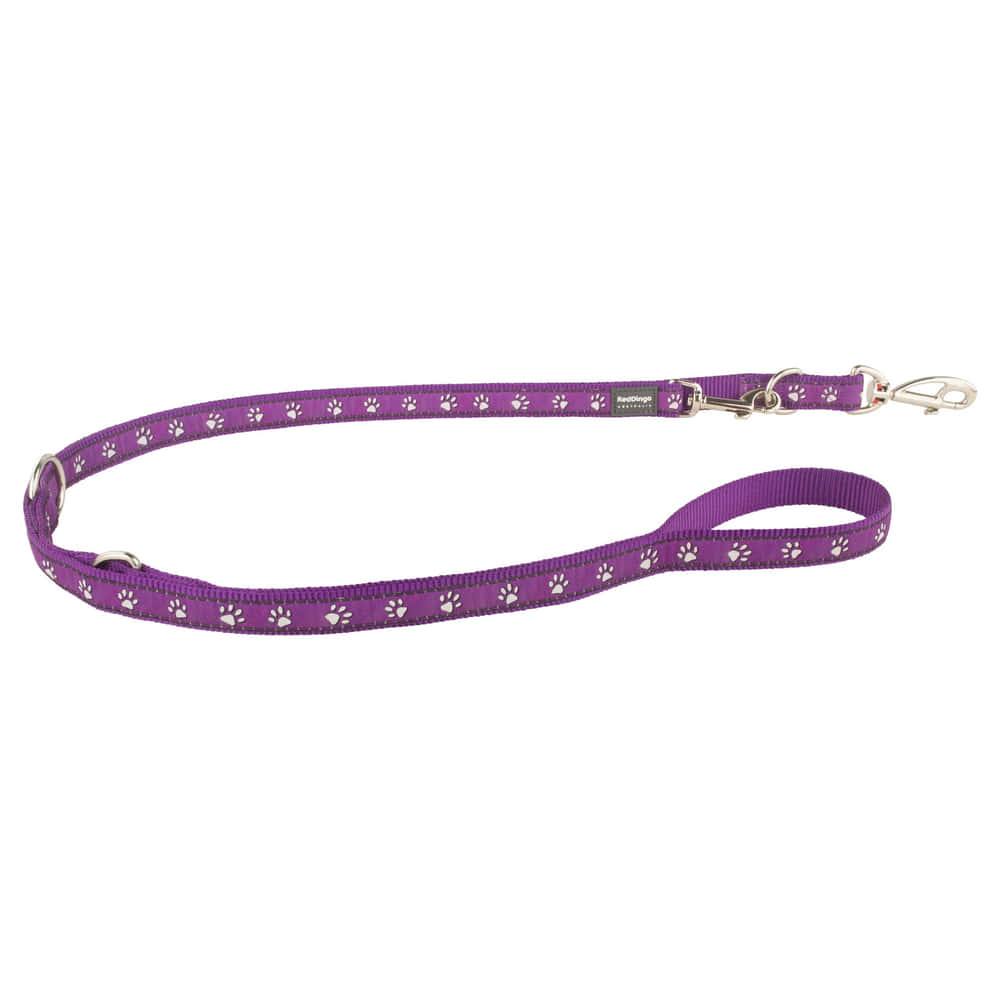 Leashes Design Desert Paws Purple