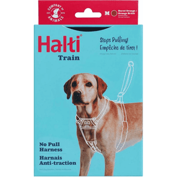 No Pull Harness, orange
