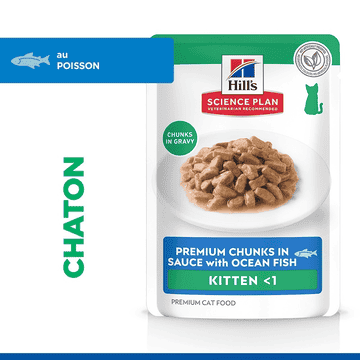 Kitten Ocean Fish - Sachets de nourriture fraîche