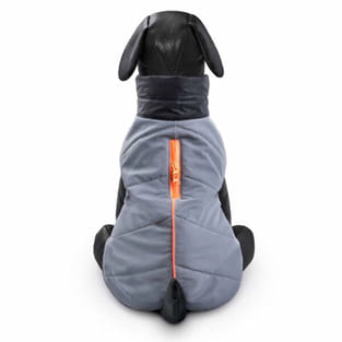 Manteau réfléchissant pour chien Meteor