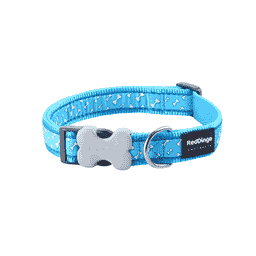 Halsband Design Flying Bones Turquoise