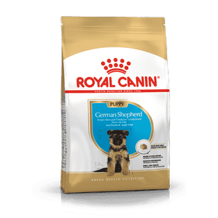 Berger Allemand Puppy