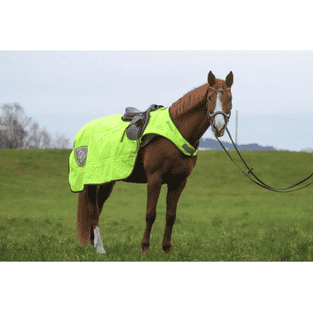 Couverture de sortie à cheval Deluxe 50 g