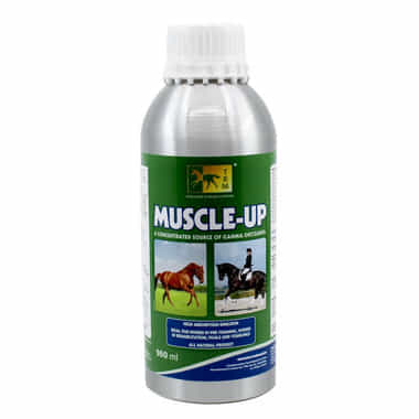 Muscle-Up