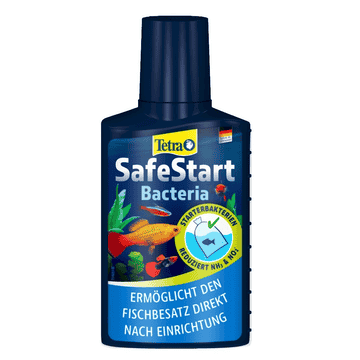SafeStart