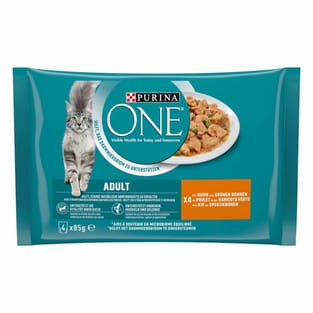 Adult Poulet - en sachet