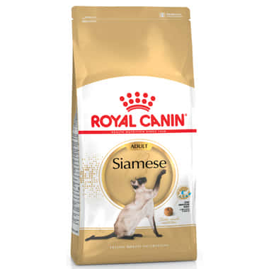 Siamese