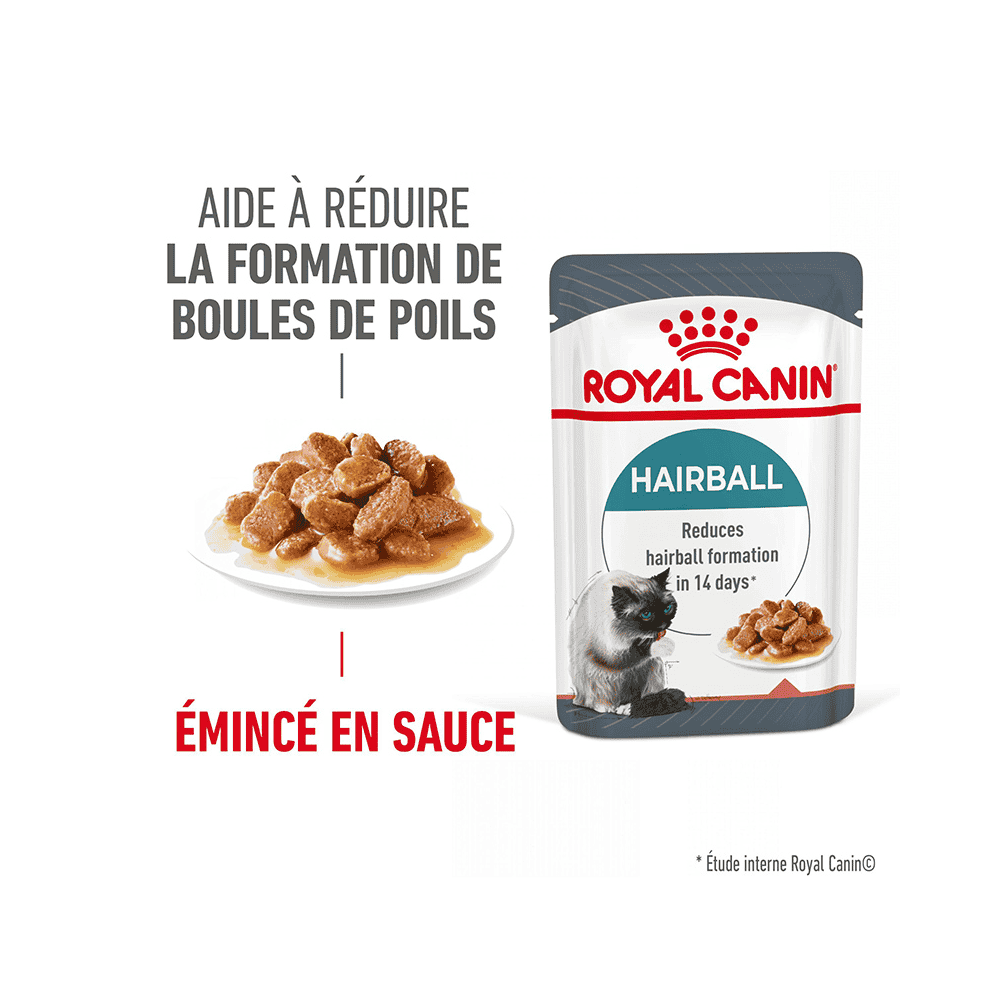 Hairball Care Gravy - Sachet