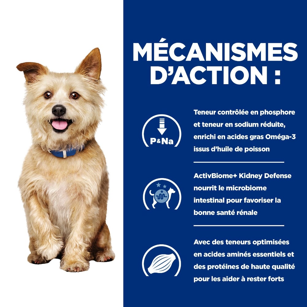 Canine k/d Kidney Care Original - Boîte
