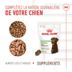 Digestion Chews Adult Supplements