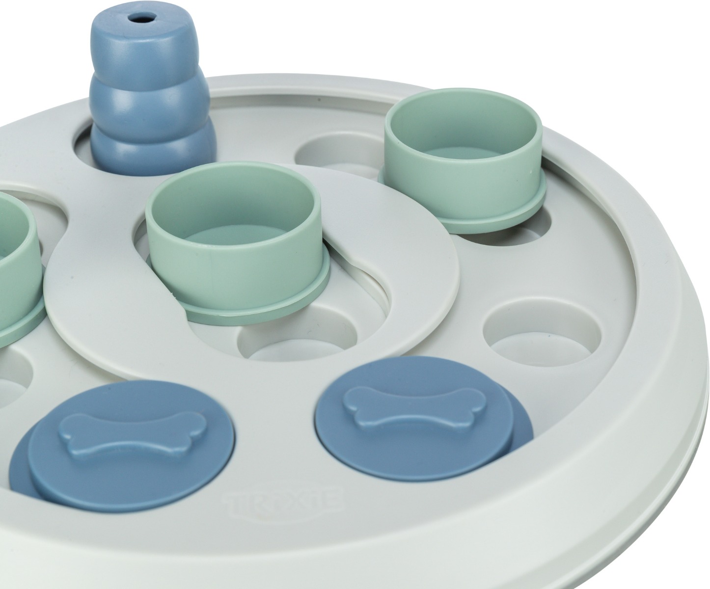 Dog Activity Flip & Fun