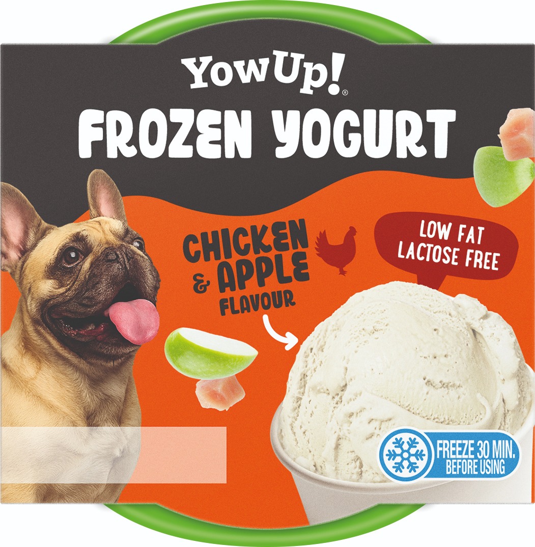 Dog Frozen Yogurt