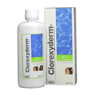 Clorexyderm Shampoo 4 %