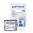 Aufbaukur/Recovery